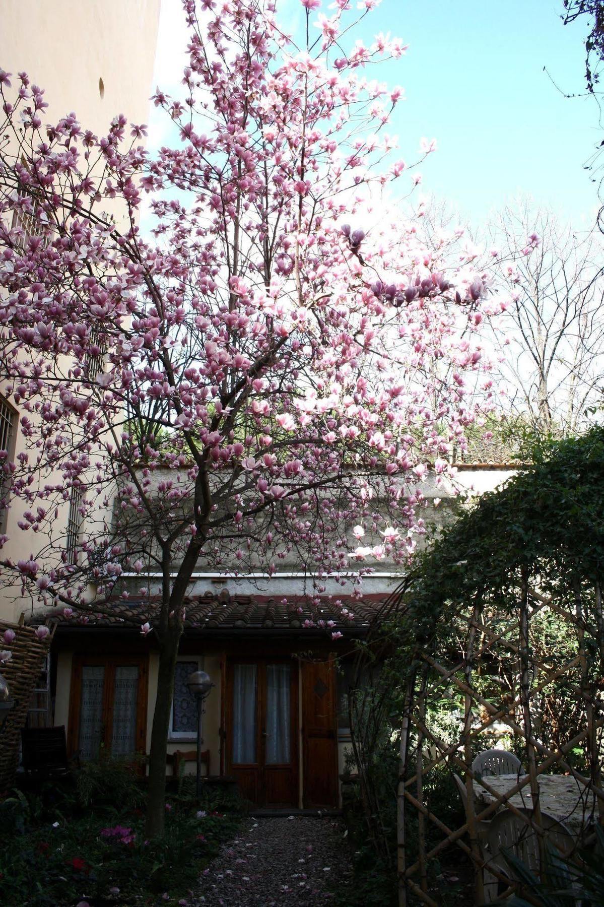 Affittacamere Casa Corsi Florence Buitenkant foto